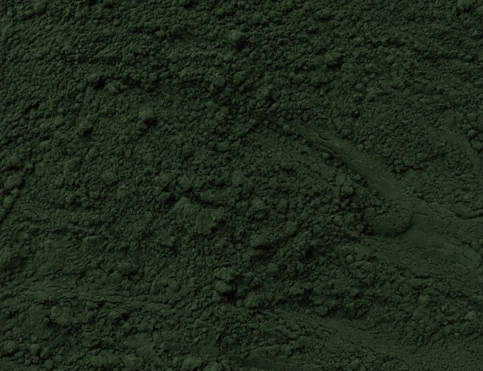 Detail spiruliny
