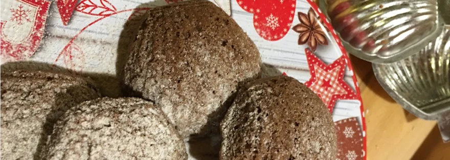 Bezlepkové medvědí tlapky