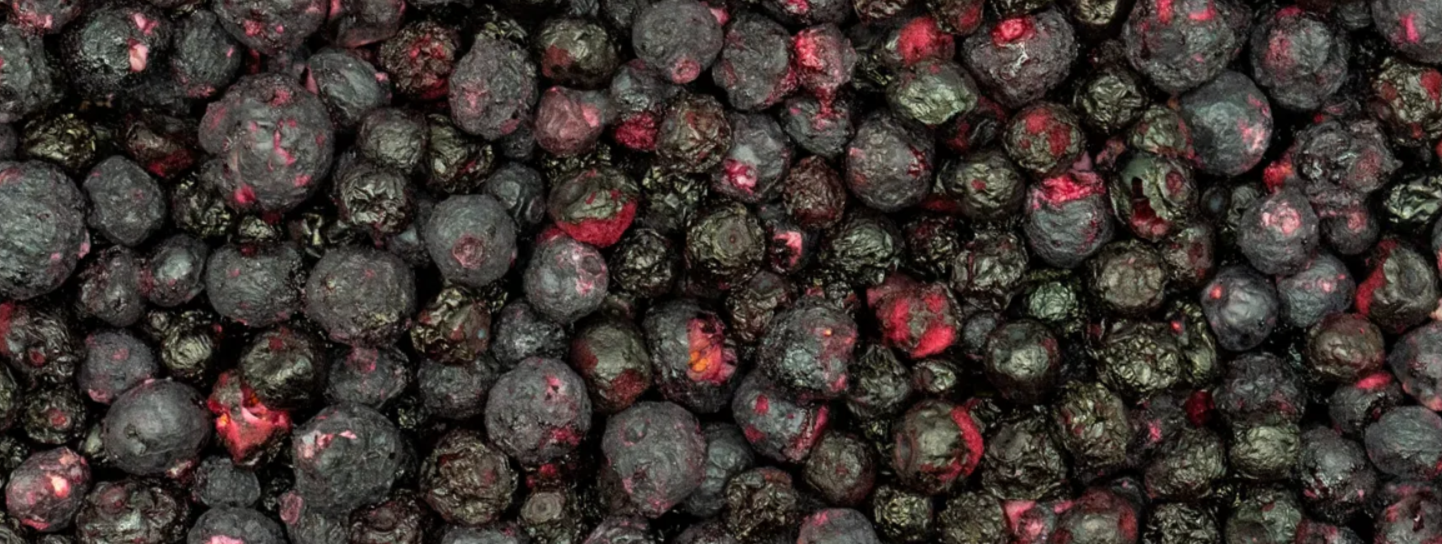 borůvky lyofilizované Grizly