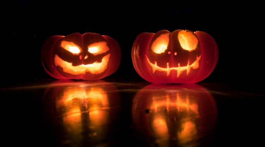 Halloween recepty na Grizly