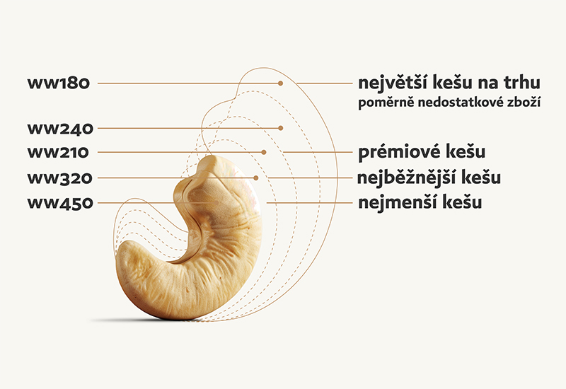 Láhev kečupu a rajčata