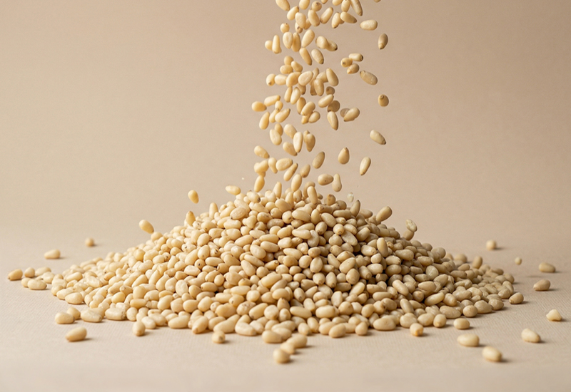 Láhev kečupu a rajčata