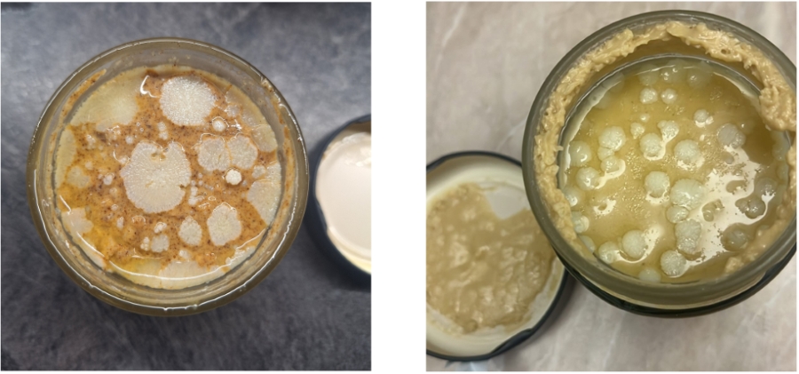 Tukový výkvět není plíseň - ořechová másla Grizly