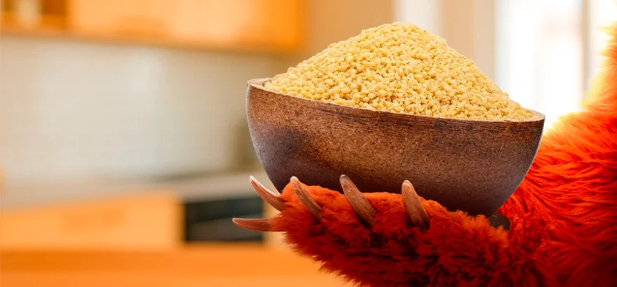 Jak se vyznat v obilovinách: Druhy, jak vybrat a příprava