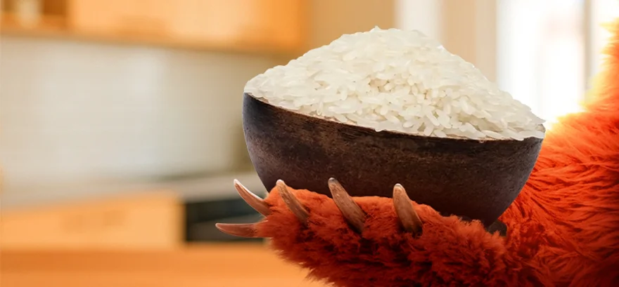 Jak vybrat správnou rýži? Grizly poradí