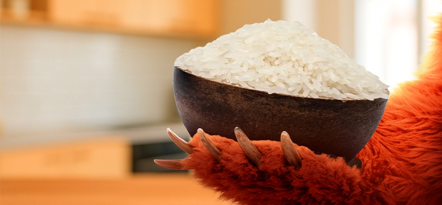 Jak vybrat správnou rýži? Grizly poradí