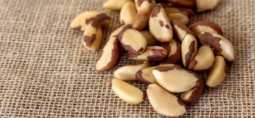 Jak vypadá předávkování para ořechy a jak se mu vyhnout