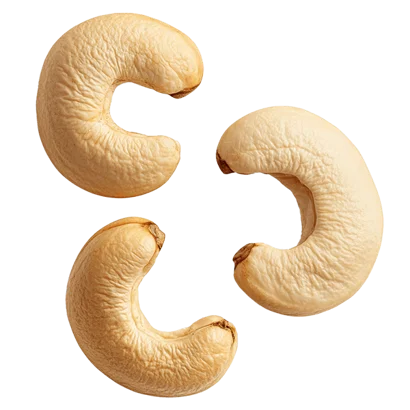 33 zajímavých faktů o kešu