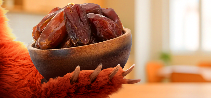 Jak vybrat správné datle? Grizly poradí