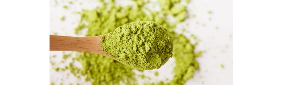 Matcha tea: Síla přírody, která vás udrží ve střehu