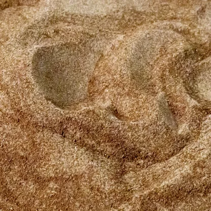 Active Coffee sweet almond