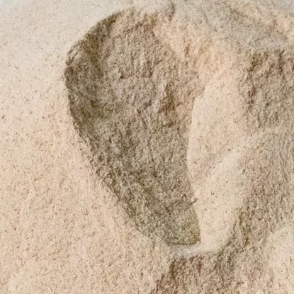 Active Day Drink peach