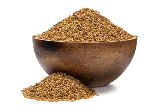 Alfalfa BIO semienka na klíčenie