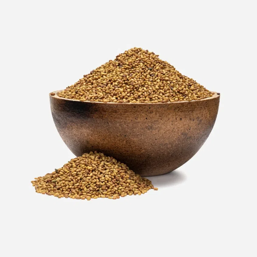 Alfalfa BIO semínka na klíčení