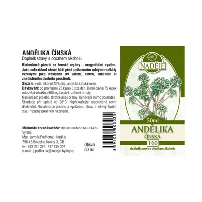 Andělika čínská tinktura z byliny