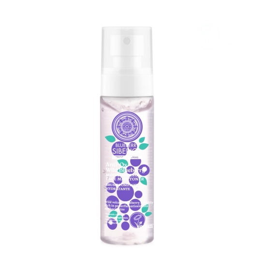 Anti-OX Wild Blueberry Hydratační pleťová mlha tonikum
