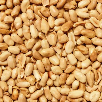 Arašídy loupané pražené nesolené