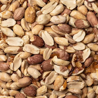 Arašídy ve slupce pražené solené