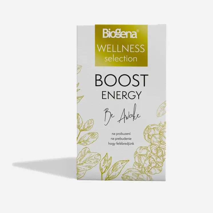 Boost energy 6 x 20 sáčků