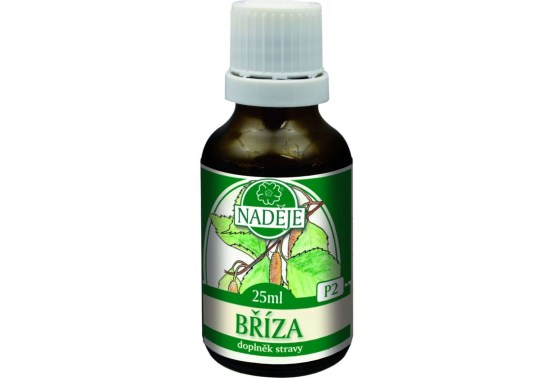 Breza - tinktúra z púčikov