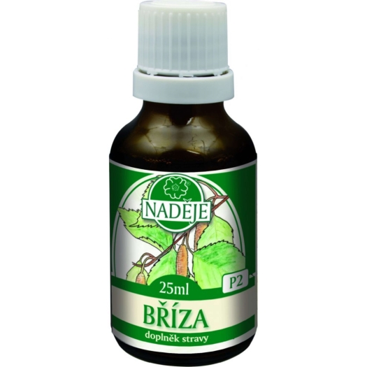 Bříza - tinktura z pupenů