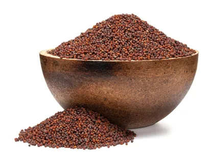 Brokolice BIO semínka na klíčení 4 x 250 g