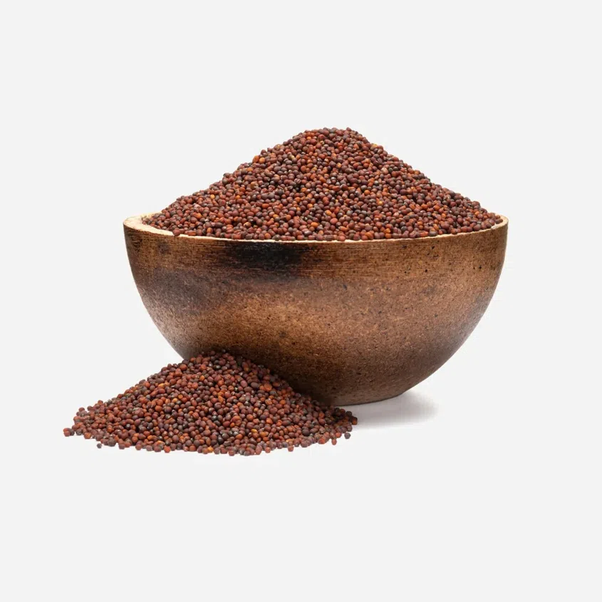 Brokolice BIO semínka na klíčení 4 x 250 g