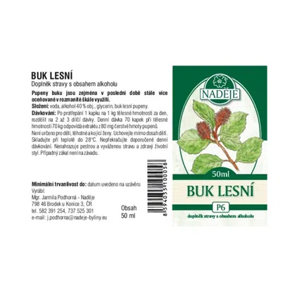 Buk lesní tinktura z pupenů
