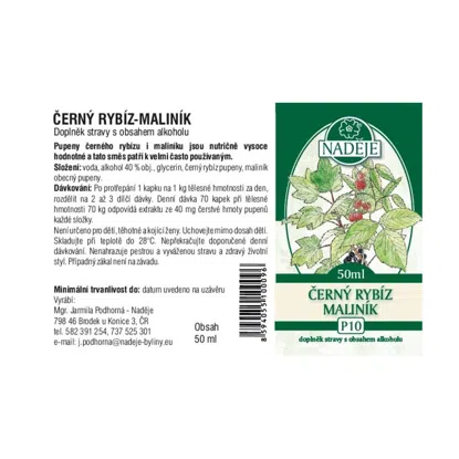 Černý rybíz a maliník