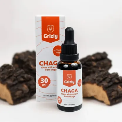 Chaga 6 x 30  ml