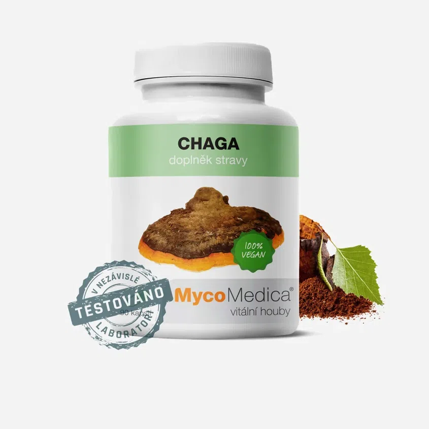 Chaga