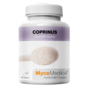 Coprinus