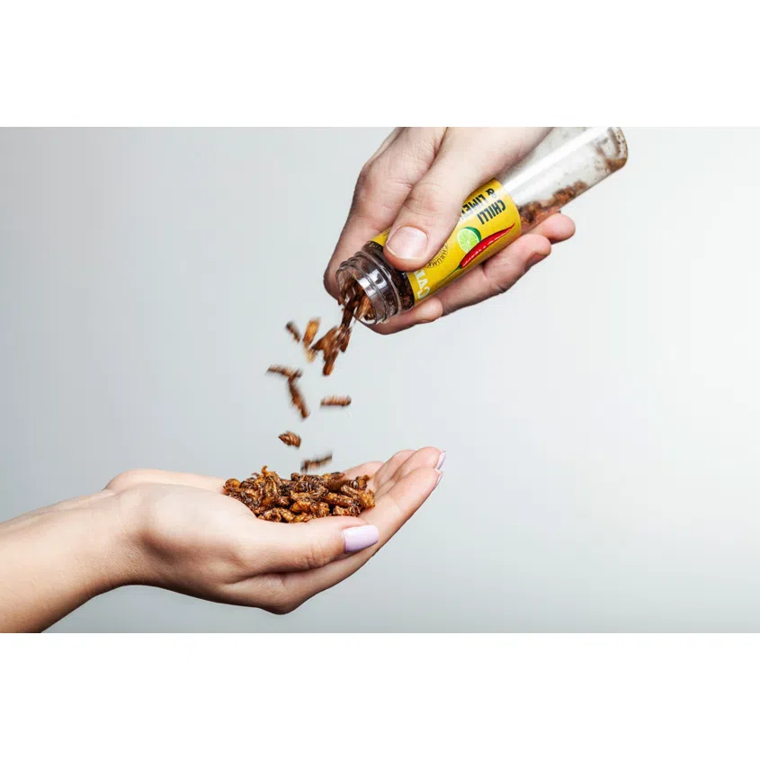 Cvrčči s příchutí Chilli&limetka 20 g expirace