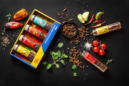 Dárkový Set Křupaví a pražení cvrčci 4 příchutě