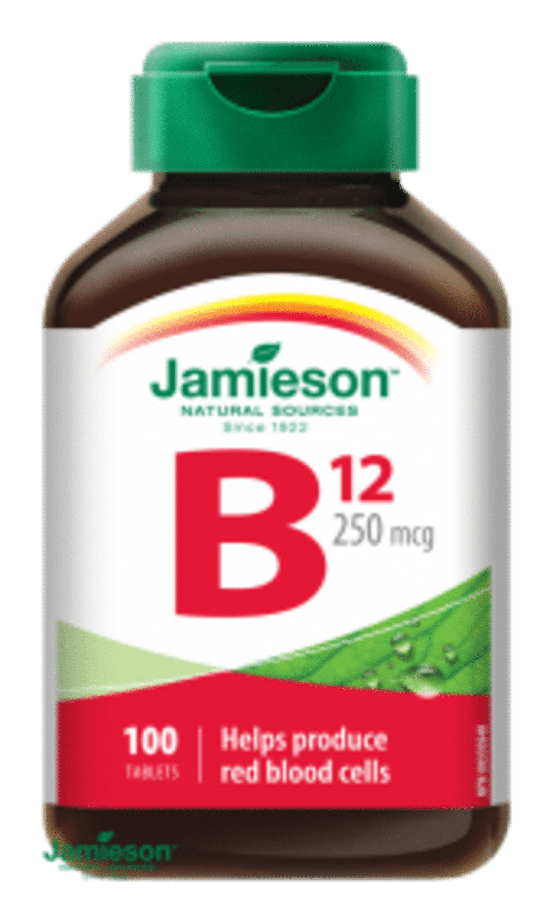Levně Jamieson Vitamín B12 methylkobalamín 250 µg 100 tablet
