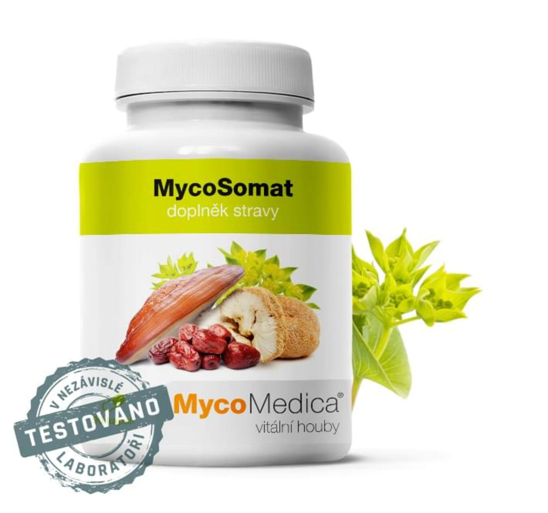 Levně MycoMedica MycoSomat 90 tablet