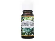 Saloos Esenciální olej eukalyptus citriodora 10 ml