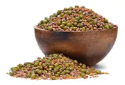 GRIZLY Mungo, alfalfa, ředkev BIO mix semínek na klíčení 250 g