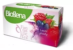 Biogena Fantastic Tea Lesní plody 20 sáčků