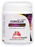SUPERIONHERBS Coriolus versicolor Extrakt 50% polysacharidů 90 kapslí