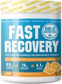 Gold Nutrition Fast recovery 600 g pomeranč