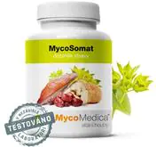 MycoMedica MycoSomat 90 tablet