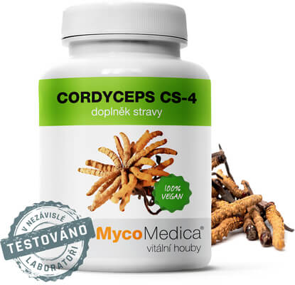 MycoMedica Cordyceps CS-4 90 tablet