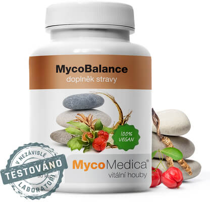 MycoMedica  MycoBalance 90 tablet