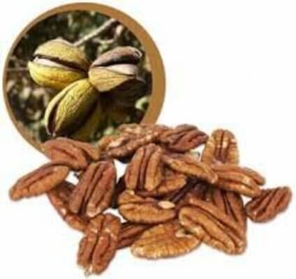 Lifefood Pekanové ořechy RAW BIO 500 g