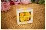 Čokoládovna Janek Velikonoční krabička s pralinkami - kuřátka 46 g expirace