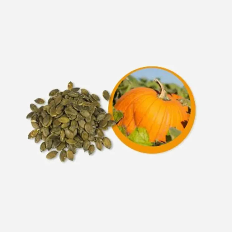 Dýňové semínko BIO 6 x 500 g