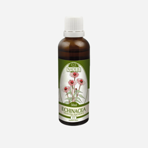 Echinacea