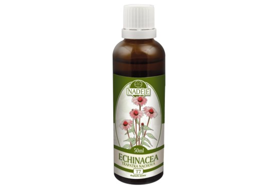 Echinacea tinktúra z byliny