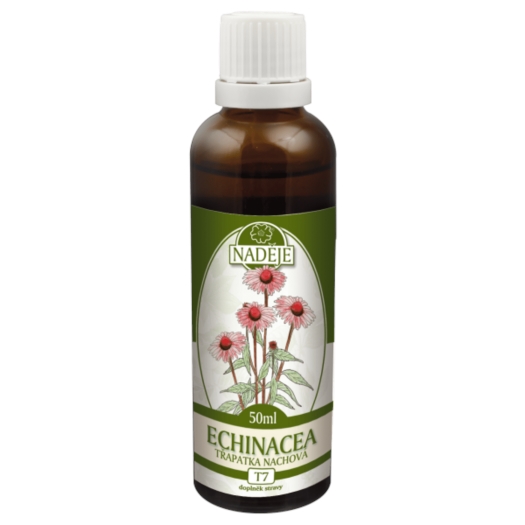 Echinacea tinktúra z byliny